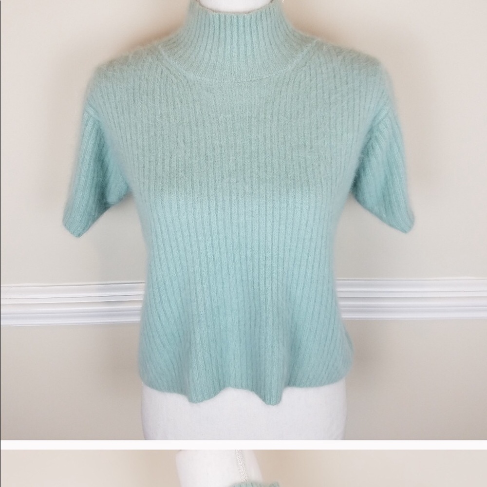 Company Ellen Tracy sweater short sleeve petite L angora mint green